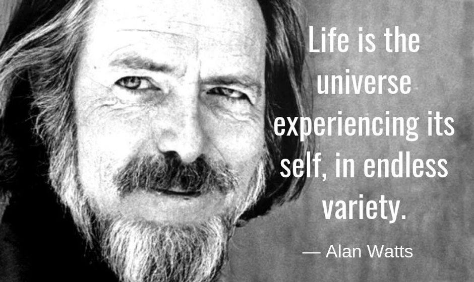 Life is the Universe experiencing its self, in endless variety. — Alan Watts