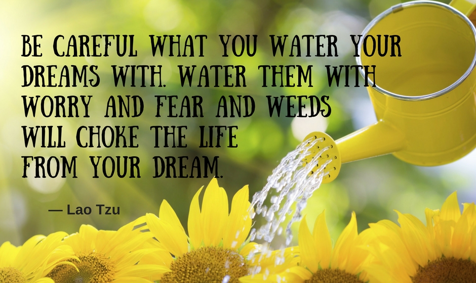Be careful what you water your dreams with. Water them with worry and fear and you will produce weeds that choke the life from your dream. — Lao Tzu