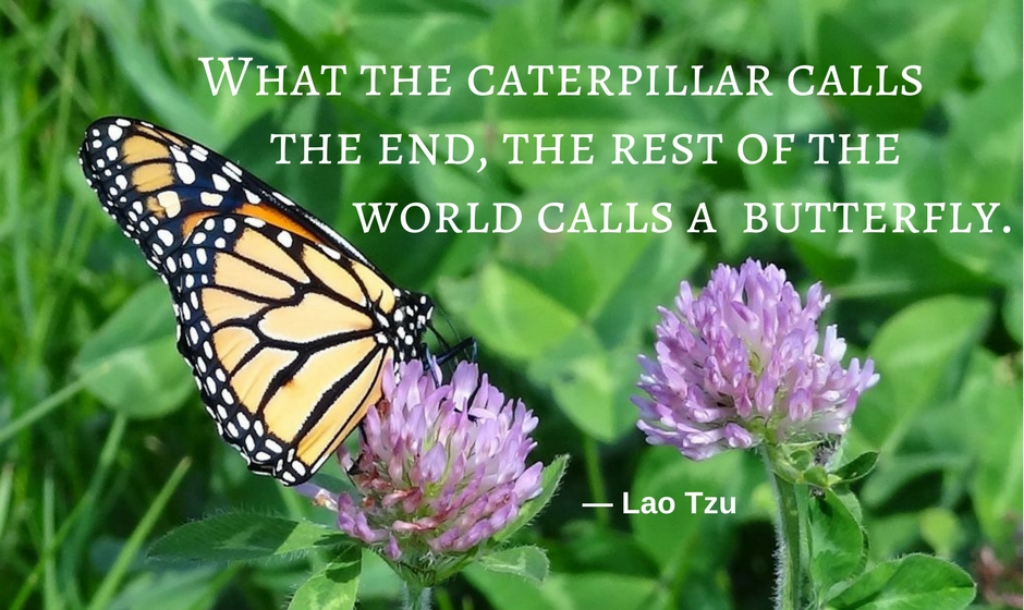 What the caterpillar calls the end, the rest of the world calls a butterfly. — Lao Tzu